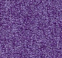 Ковролин Radici Trotter Viola 2421 фото 1 | FLOORDEALER